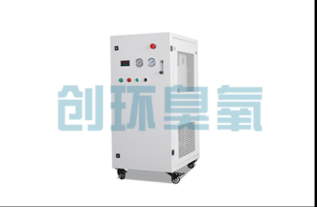天水工厂化养鲈必看:2026年臭氧发生器替代传统消毒的最新方案