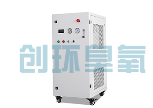 天水石斑鱼养殖水质调控完整指南:臭氧发生器配置与操作步骤