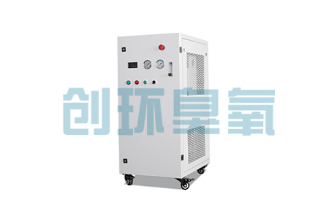 天水比传统换水更高效?臭氧发生器在石斑鱼养殖中的水质净化原理解析